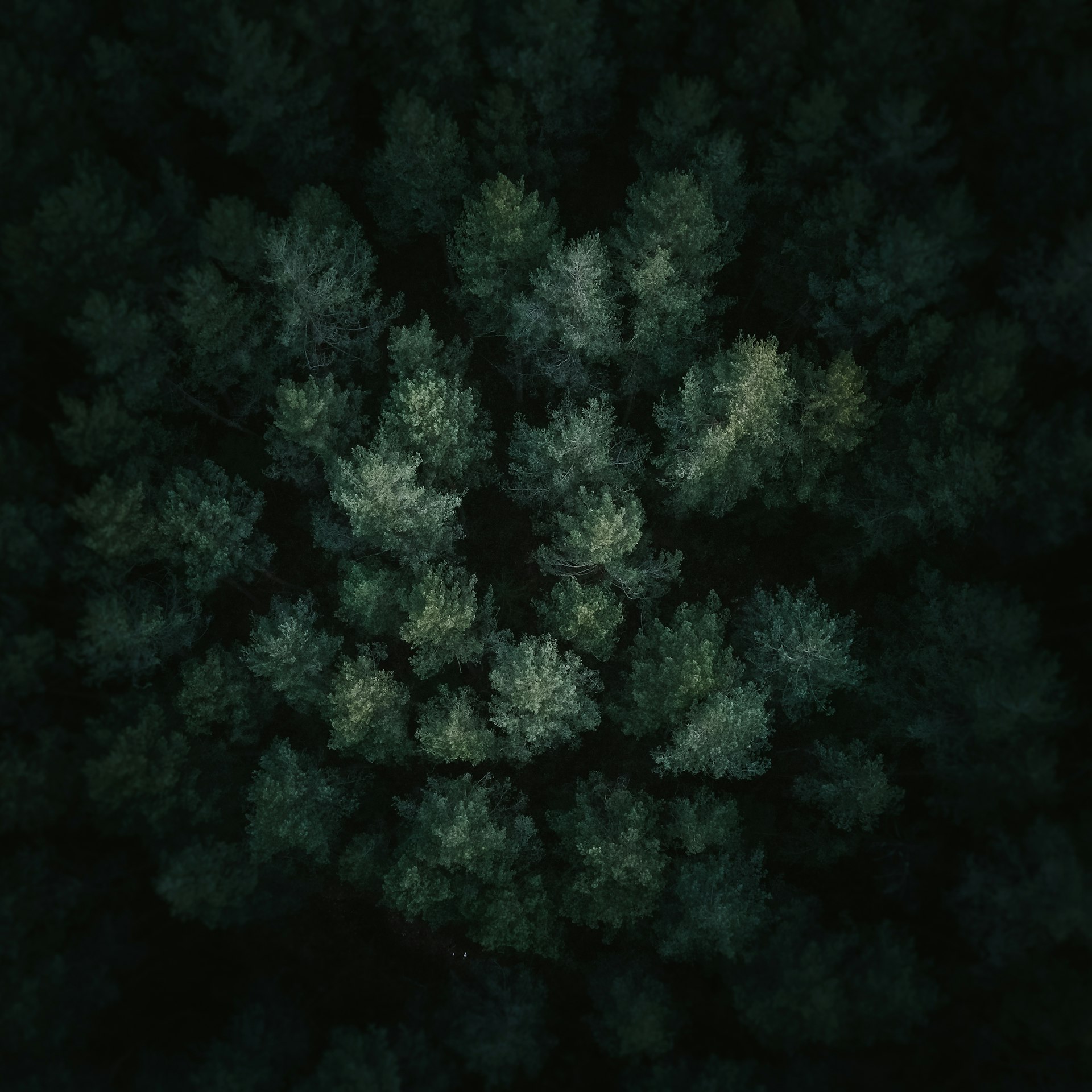 Mastering Nature Soundscape Composition: Techniques, Examples, and Practical Guidance