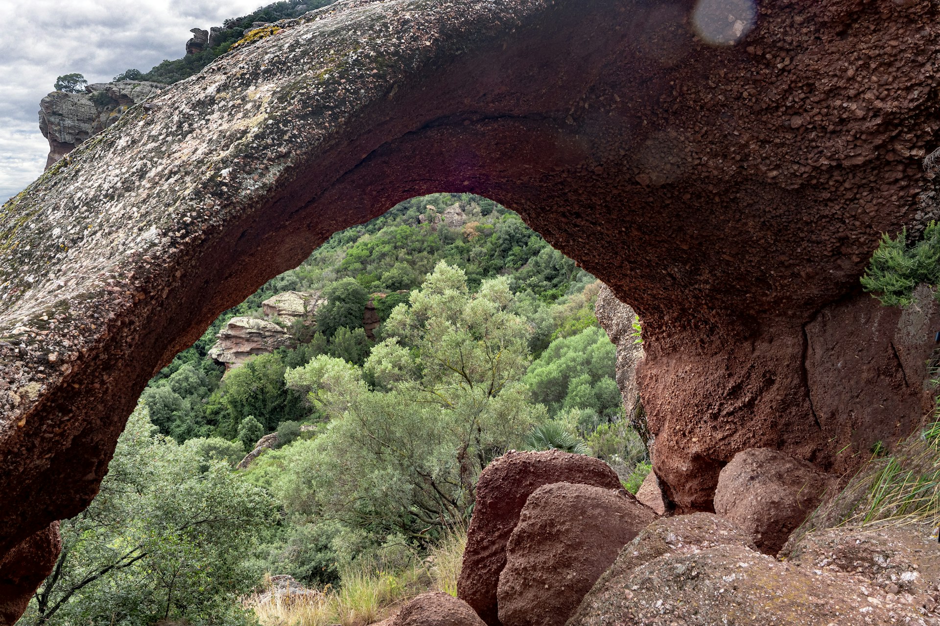 How to Build a DIY Trellis Arch for Climbing Edibles: A Complete Guide
