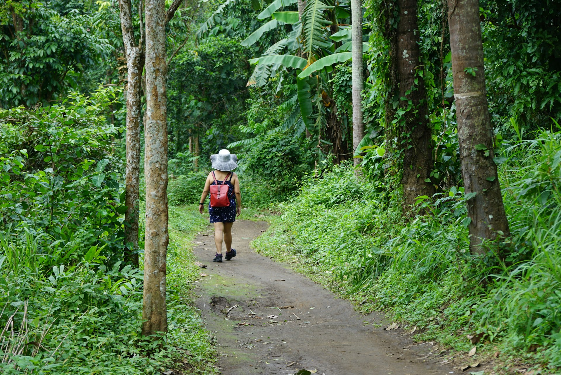 Eco-Volunteering Travel Programs: Your Gateway to Meaningful Global Impact