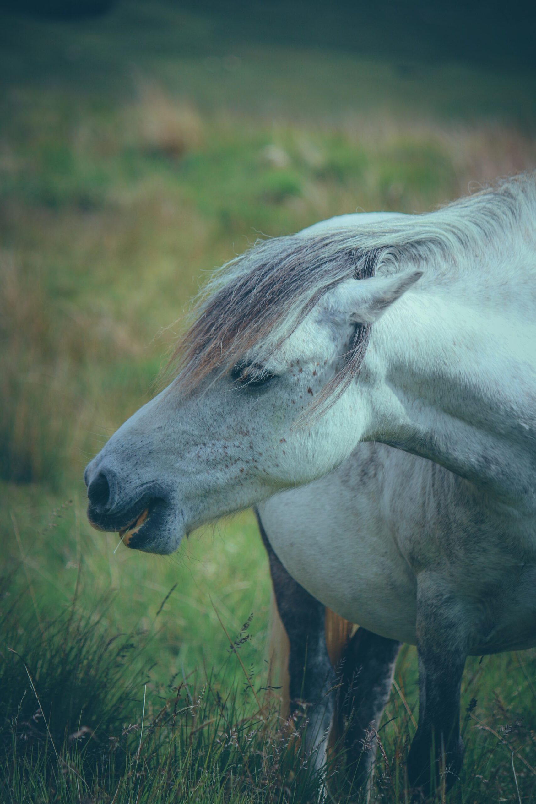 Exploring the Unicorn Lifestyle: Understanding the Rare Third in Modern Relationships